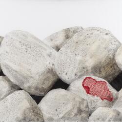 Σύρος-Πολιτισμός 2025: Η Σύρος του Βαμβακάρη με τα μάτια του Σόρογκα